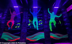 IMG 0025 1766000915 Boombox Bounce House w/ Speakers, Black Light Included